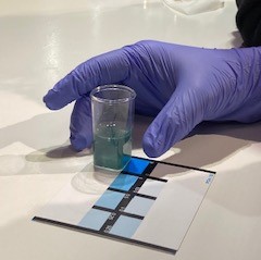 testing the Phosphorus in soil